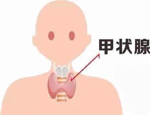查出甲狀腺結(jié)節(jié)怎么辦？您關(guān)心的問題都在這里！